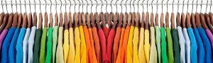 blulk t shirts